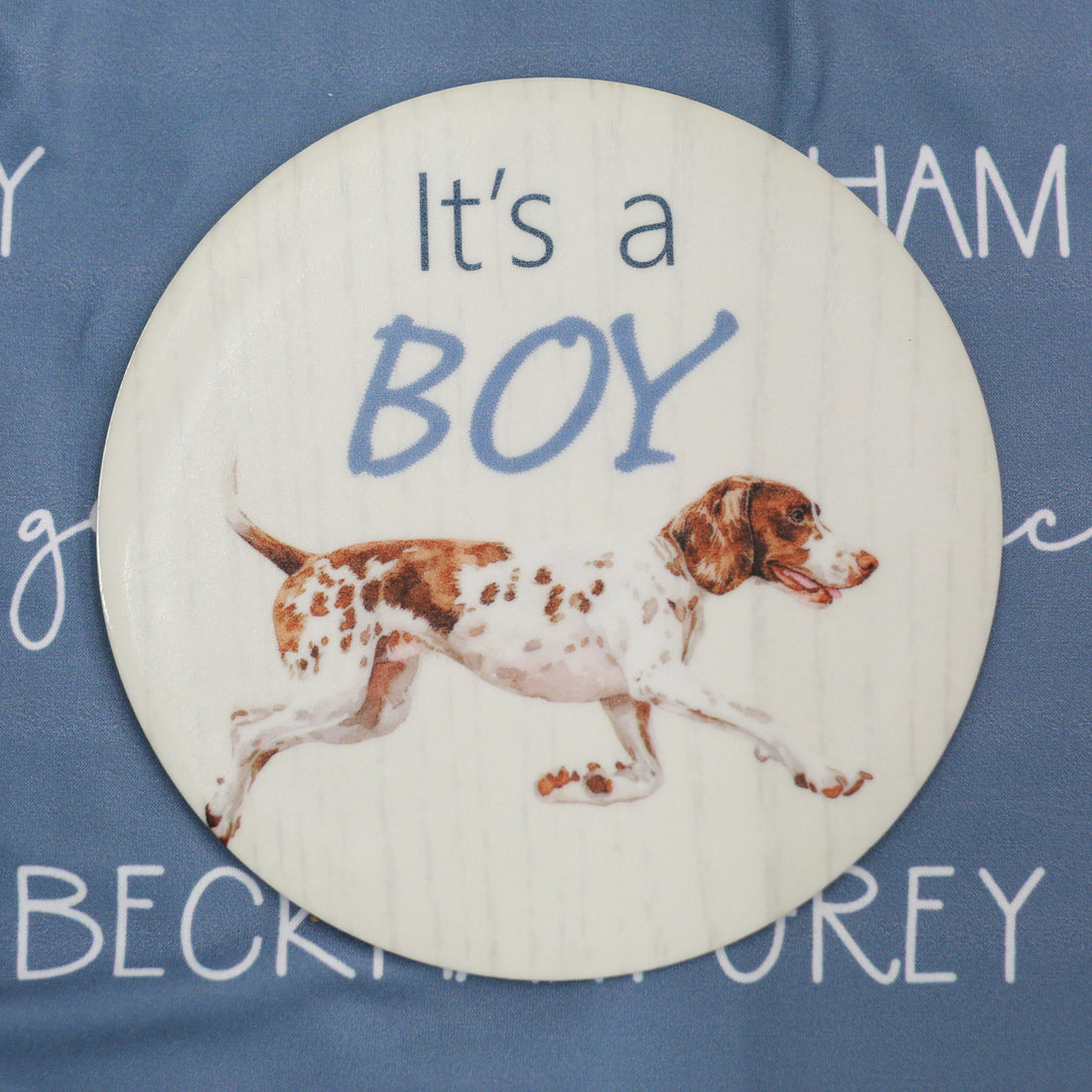 Personalized Baby Gift | Hunting Dog Baby Set with Custom Gown, Hat & Swaddle