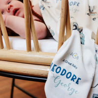 Elephants in Cars Stretchy Swaddle
