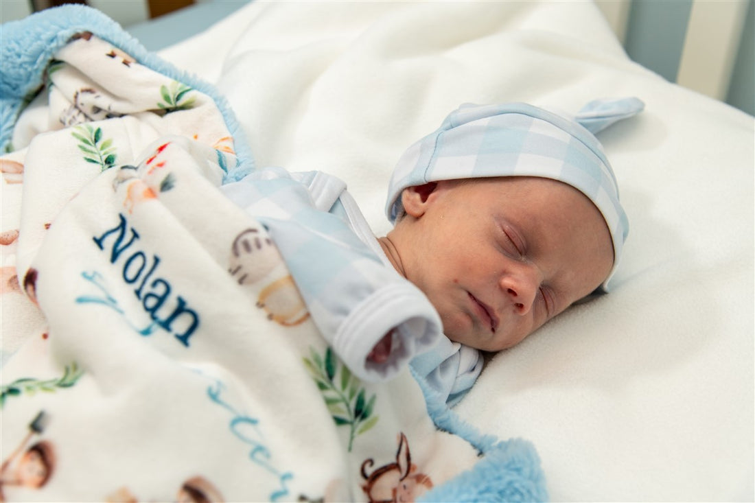 Noah's Ark Baby Deluxe Blanket
