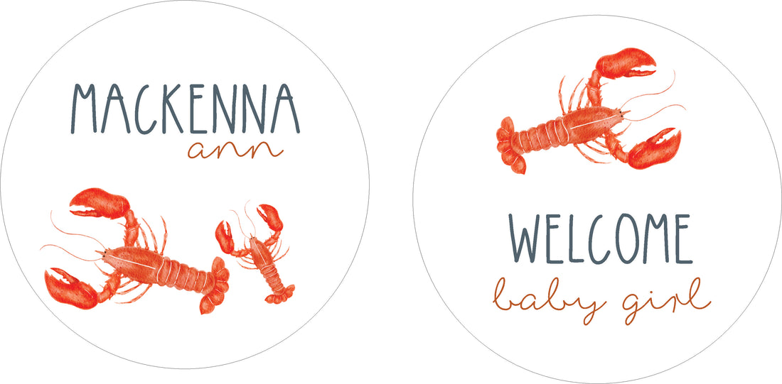 Personalized Baby Blanket | Little Lobster Take Me Home Set – Newborn Gown & Swaddle
