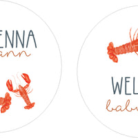 Personalized Baby Blanket | Little Lobster Take Me Home Set – Newborn Gown & Swaddle