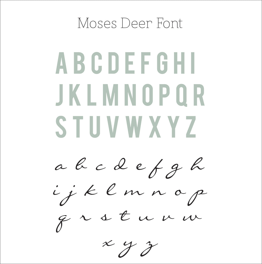 Moses Baby Deluxe Blanket