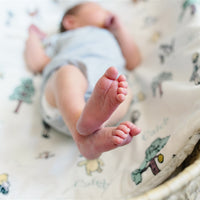 Baby Deluxe Minky Baby Blanket- Personalized Baby Gift with Fur Backing