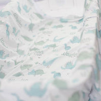 Dino Stretchy Swaddle