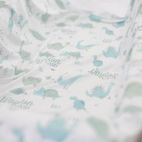 Dino Stretchy Swaddle