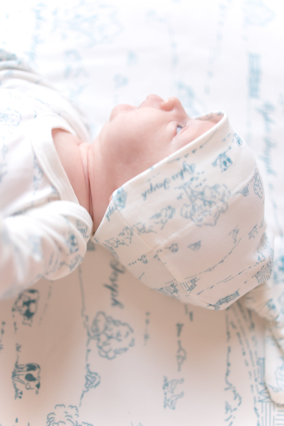 Farmhouse Toile Stretchy Baby Swaddle - Personalized Newborn Blanket Blue or Green