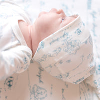 Farmhouse Toile Stretchy Baby Swaddle - Personalized Newborn Blanket Blue or Green