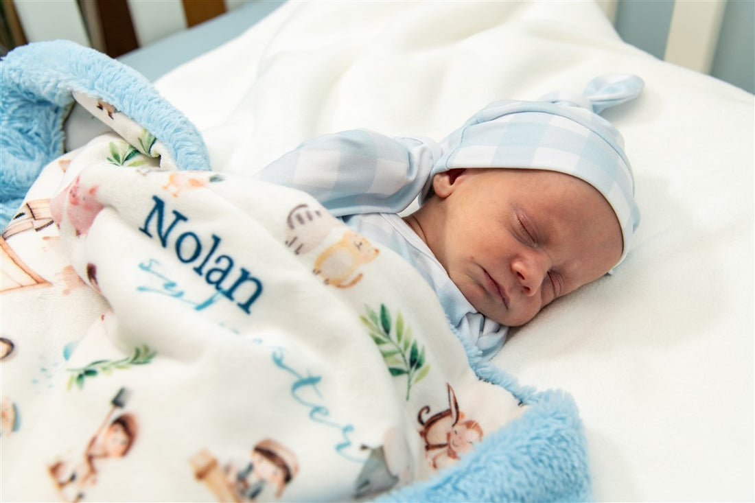 Noah's Ark Baby Deluxe Blanket