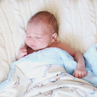 Personalized Minky Baby Deluxe Blankets