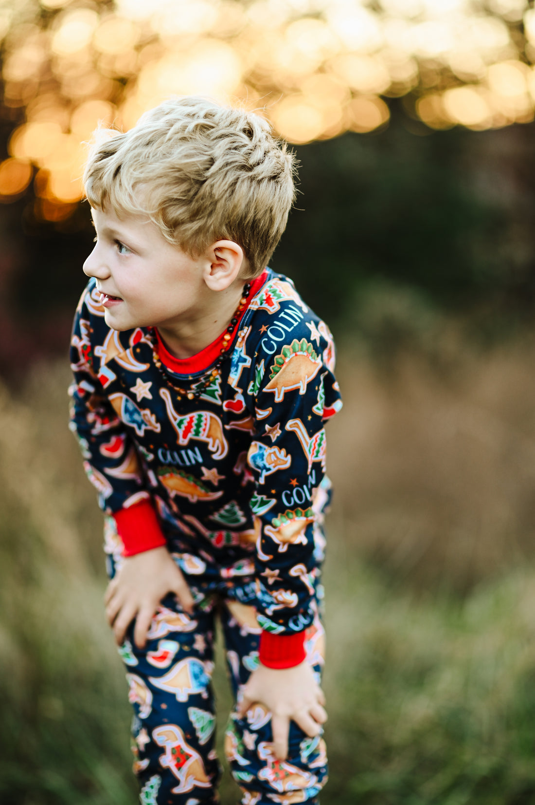 Dino Cookies Personalized Holiday Pajamas for Boys - Navy Blue Christmas PJs