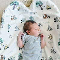 Personalized Minky Baby Deluxe Blankets