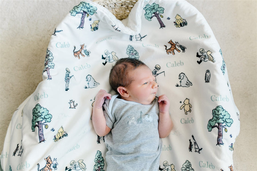 Personalized Minky Baby Deluxe Blankets
