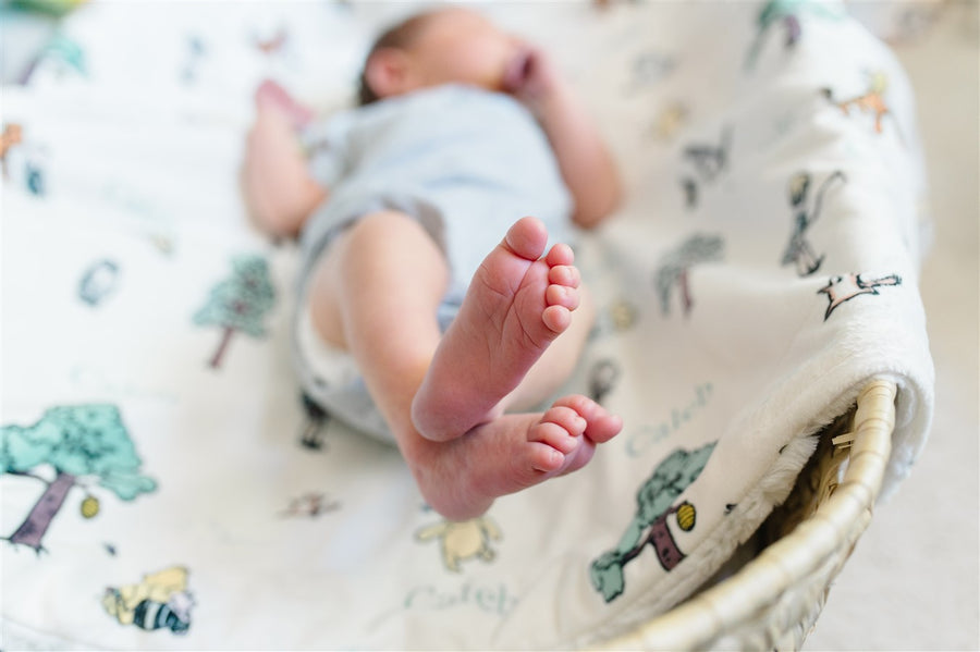 Personalized Minky Baby Deluxe Blankets